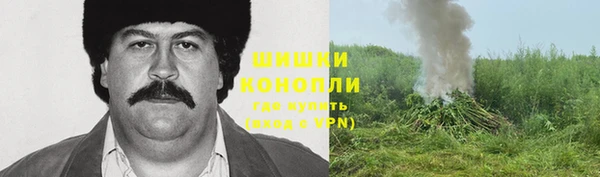 бошки Алексин