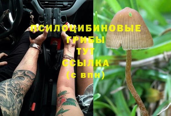 бошки Алексин